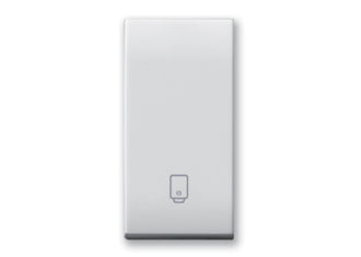 441TBP Ave Button with boiler symbol, Domus white color, 1 module