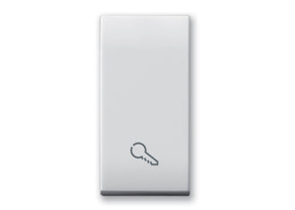 441TKP Ave Button with key symbol, Domus white color, 1 module