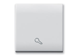 441TKP/2 Ave Button with key symbol, Domus white color, 2 modules