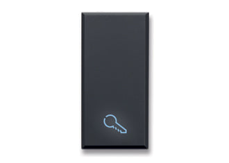 445TKP Ave Button with key symbol, Tekla black matte color, 1 module