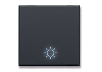 445TLP/2 Ave Button with lamp symbol, Tekla black matte color, 2 modules